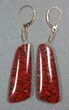 Stunning, Red Dinosaur Gembone Earrings - Gold Findings #22528-1